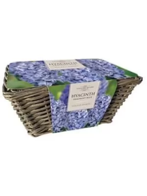 Large Hyacinth Indoor Basket-Blue