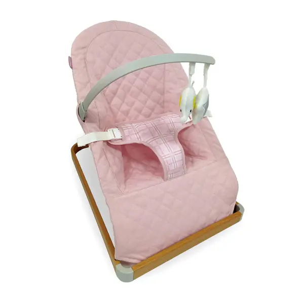 Dani Dyer Pink Plaid Baby Bouncer