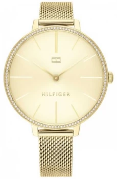 Tommy Hilfiger Kelly Gold PVD Mesh Bracelet Gold Dial Watch