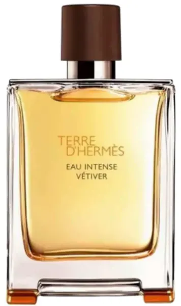 Hermes Terre D'Hermes Eau Intense Vetiver Eau de Parfum For Him 50ml