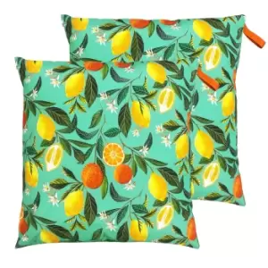 Orange Blossom Large 70cm Outdoor Floor Twin Pack Cushion Multi