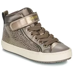 Geox KALISPERA Girls Childrens Shoes (High-top Trainers) in Gold - Sizes 10 kid,11 kid,11.5 kid,12 kid,13 kid,1 kid,1.5 kid,2.5