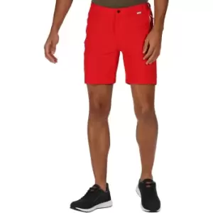 Regatta Mens Mountain Polyamide Duarable Walking Shorts 33 - Waist 33' (84cm)