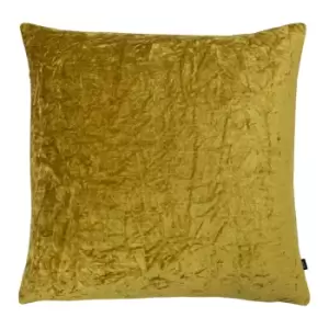 Kassaro Crushed Velvet Cushion Dijon