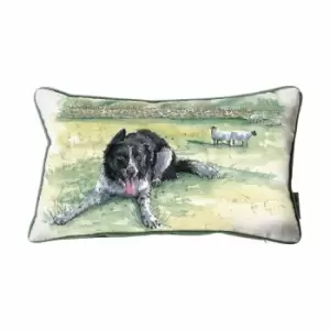 Crossland Grove Border Collie Watercolour Cushion 300x500mm