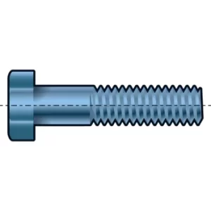 M12X100 Hex Head Bolt (19MM A/F) BZP (GR-8.8)