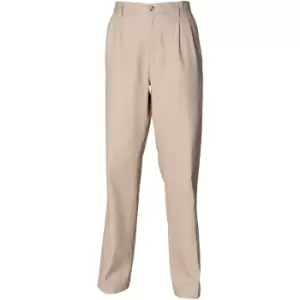 Henbury Mens Teflon Stain Resistant Coated Pleated Chino Work Trousers / Pants (36 x Regular) (Stone) - Stone