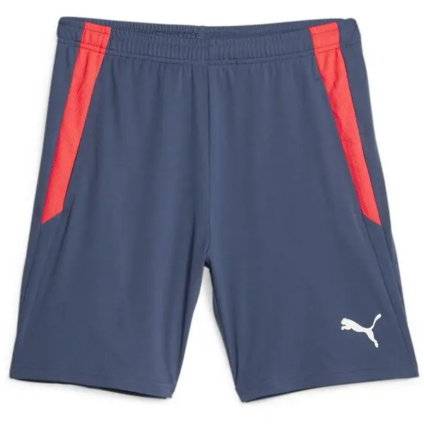 Puma Training Shorts 2 (open poc - Blue L