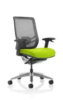 Ergo Click Bespoke Fabric Seat Myrrh Green Black Mesh Back