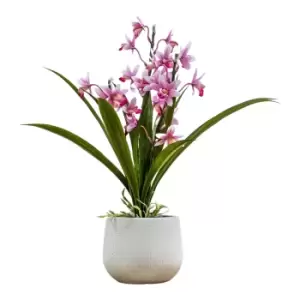 Gallery Interiors Wirth Potted Cymbidium Orchid Pink / Small