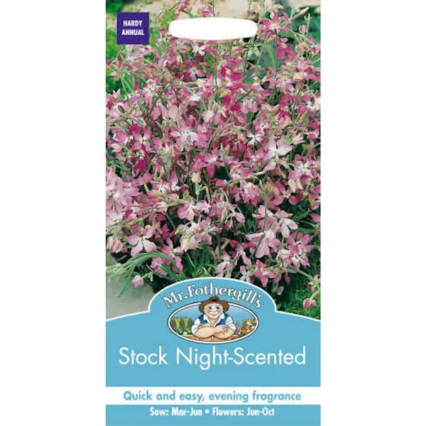 Mr. Fothergill's Night Scented Stock (Matthiola Longipetala) Seeds Pink