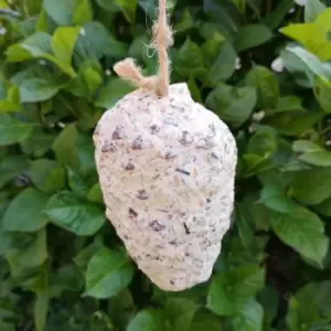 Wild Garden Bird Suet Pinecone Containing Suet and Seeds with Hanging String - Tom Chambers