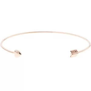 Ted Baker Ladies PVD rose plating Bangle TBJ1147-24-03