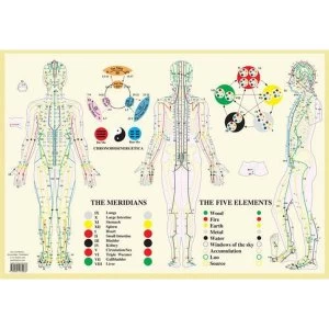 Meridians / Five Elements -- A2 Poster 2014