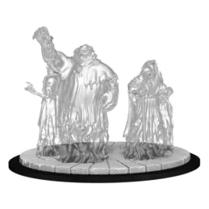 Magic The Gathering Deep Cuts Unpainted Miniatures Obzedat Ghost Council Case (6)