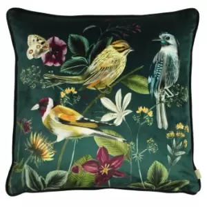 Evans Lichfield Midnight Garden Bird Cushion Cover (43cm x 43cm) (Green)