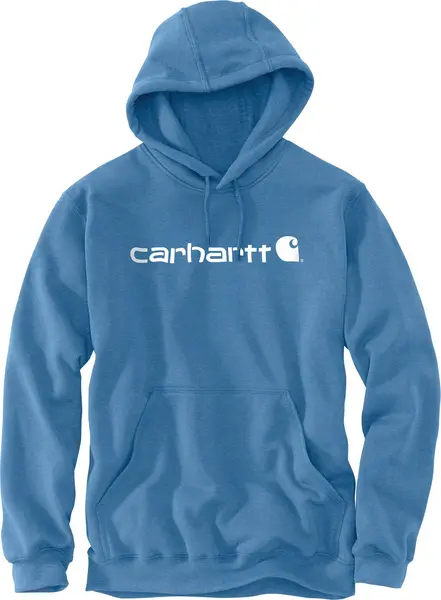 Carhartt Signature Logo Midweight Hoodie, white-blue, Size XS