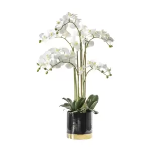 Gallery Interiors Orchid White with Black Gold Pot