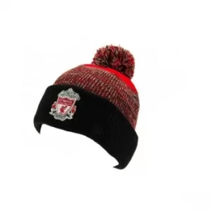 Liverpool FC Ferndale Ski Hat RD