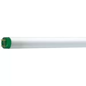 Philips Master 32W 4ft T8 Eco Halogen Tube Cool White - 26462640