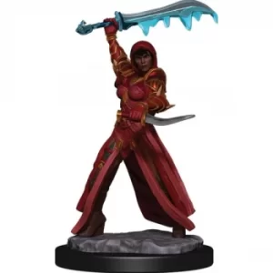 D&amp;D Icons of the Realms Premium Figures (W4) Human Rogue Female