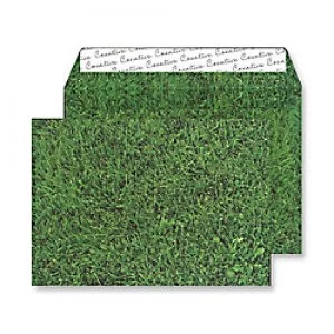 Creative Senses Natural Finish Coloured Envelopes C5 Peel & Seal 162 x 229mm Plain 135 gsm Fresh Mown Grass Pack of 125