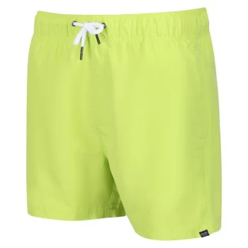 Regatta Mawson Swim Shorts III - Bright Kiwi