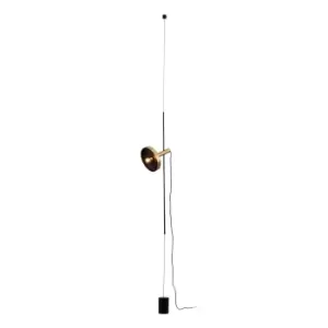 Whizz Golden, Black Pendant, Floor Lamp