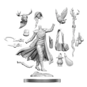 Dungeons & Dragons Frameworks: Human Druid Female for Merchandise