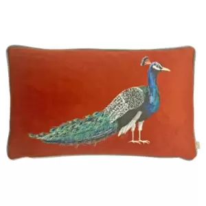 Peacock Cushion Green/Blue/Orange