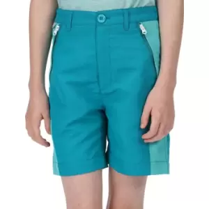 Regatta Boys Sorcer Mountain II Quick Drying Summer Shorts 13 Years - Waist 67-68cm (Height 153-158cm)