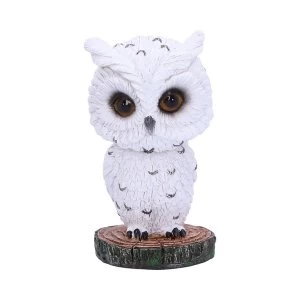 Bobble Feather Owl Bobble Head Figurine