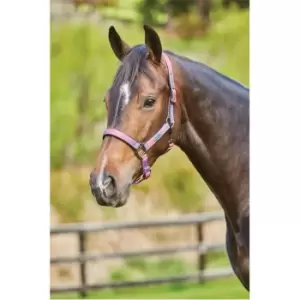 Weatherbeeta Ombre Headcollar - Purple