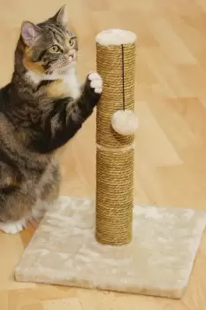 Cat Scratcher