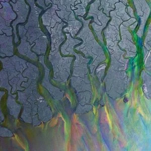 Alt-J - An Awesome Wave Vinyl