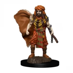 D&amp;D Icons of the Realms Premium Figures (W4) Human Druid Male