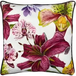 Paoletti Kala Orchids Piped Edge Cushion Cover, Multi, 50 x 50 Cm