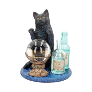 The Witches Apprentice Cat Figurine