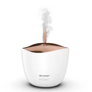 Ultrasonic Aroma Diffuser