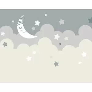 Origin Murals Nighttime Children's Sky Dove Grey Wall Mural - 3.5m x 2.8m