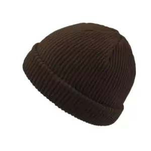 Atlantis Skate Beanie (One Size) (Brown)