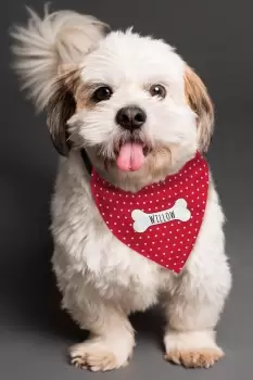 Personalised Red Polka Dot Dog Bandana