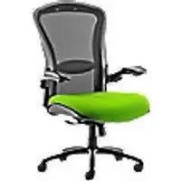 Dynamic Synchro Tilt Heavy Duty Chair Height Adjustable Arms Houston Heavy Duty Black Back, Myrrh Green Seat High Back