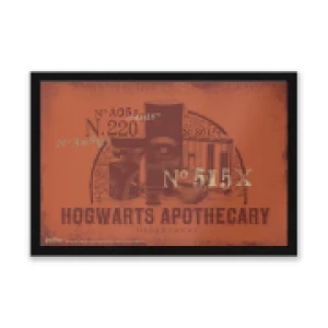 Harry Potter Hogwarts Apothecary Entrance Mat