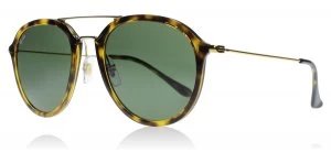 Ray-Ban 4253 Sunglasses Tortoise / Gold 710