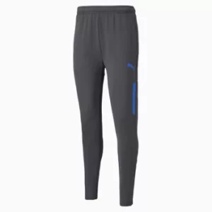 PUMA Individualcup Mens Football Training Pants, Asphalt Grey, size Large, Clothing