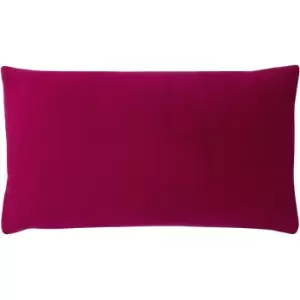 Sunningdale Velvet Rectangular Cushion Cerise