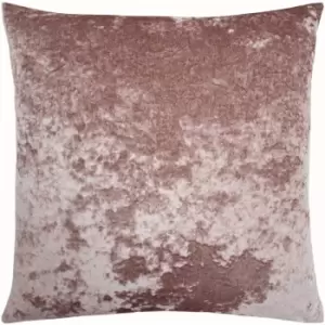 Paoletti Verona Crushed Velvet Cushion Cover (55cm x 55cm) (Blush)