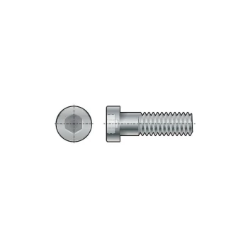 M20X60 Skt Low Head Cap Screw (GR-8.8) - Qualfast