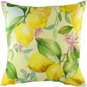 Evans Lichfield - Fruit Lemons Watercolour Print Cushion Cover, Multi, 43 x 43 Cm